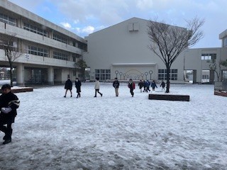 中庭の雪