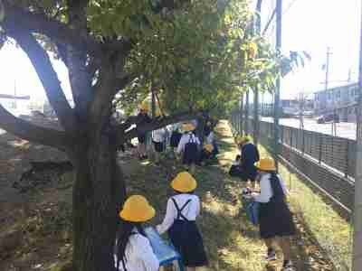 １年生秋みつけ