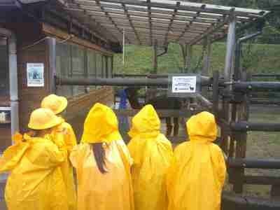 １，２年いしかわ動物園遠足②