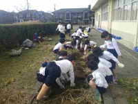 １年生いもほり