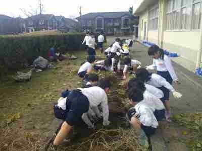 １年生いもほり
